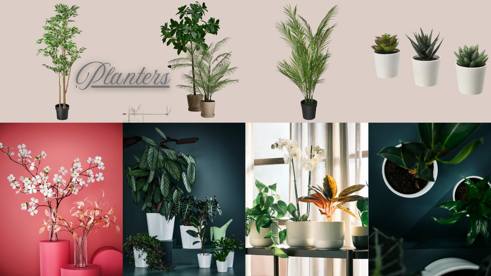 Indoor planter and plant styling references for creator studio interiors